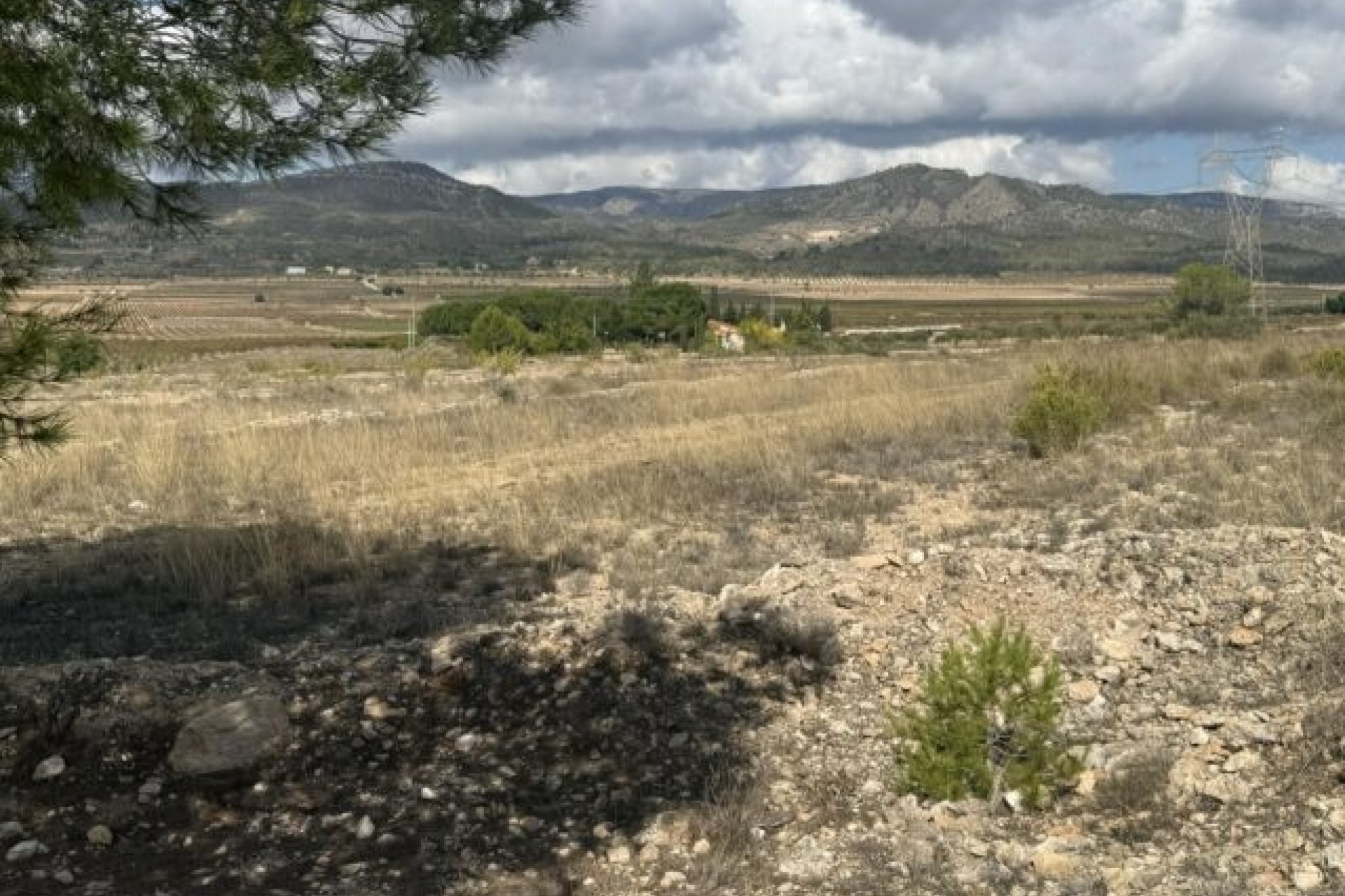 Venta - Parcela / Terreno -
Monóvar