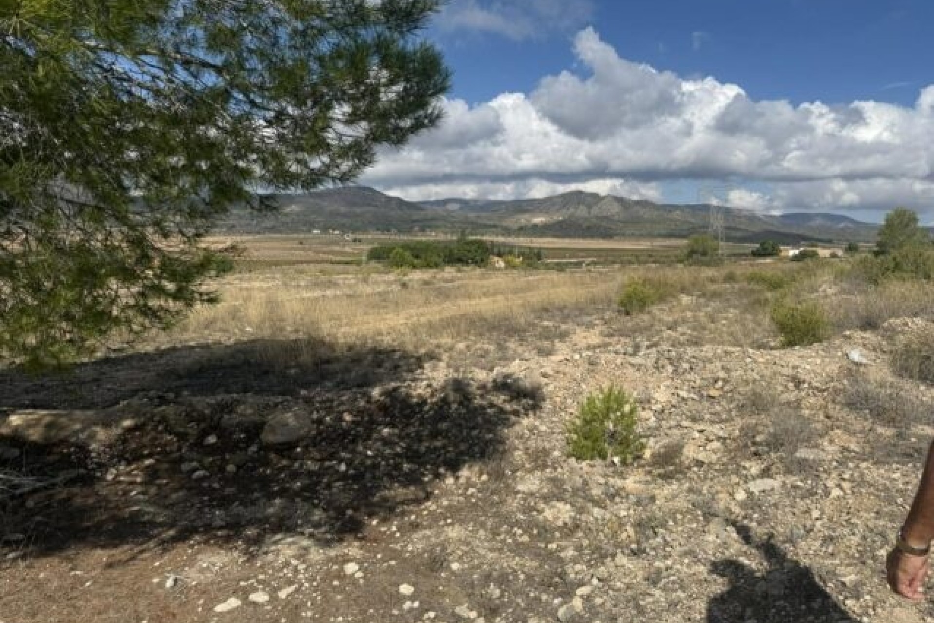Venta - Parcela / Terreno -
Monóvar