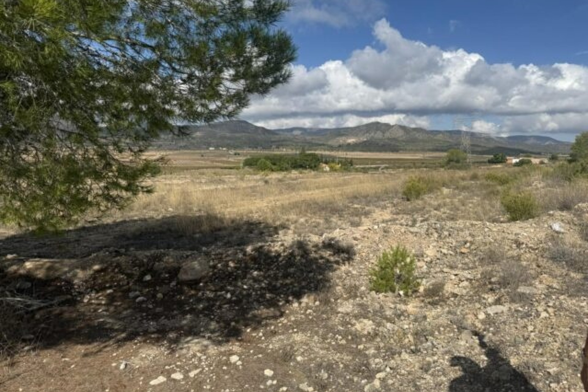 Venta - Parcela / Terreno -
Monóvar