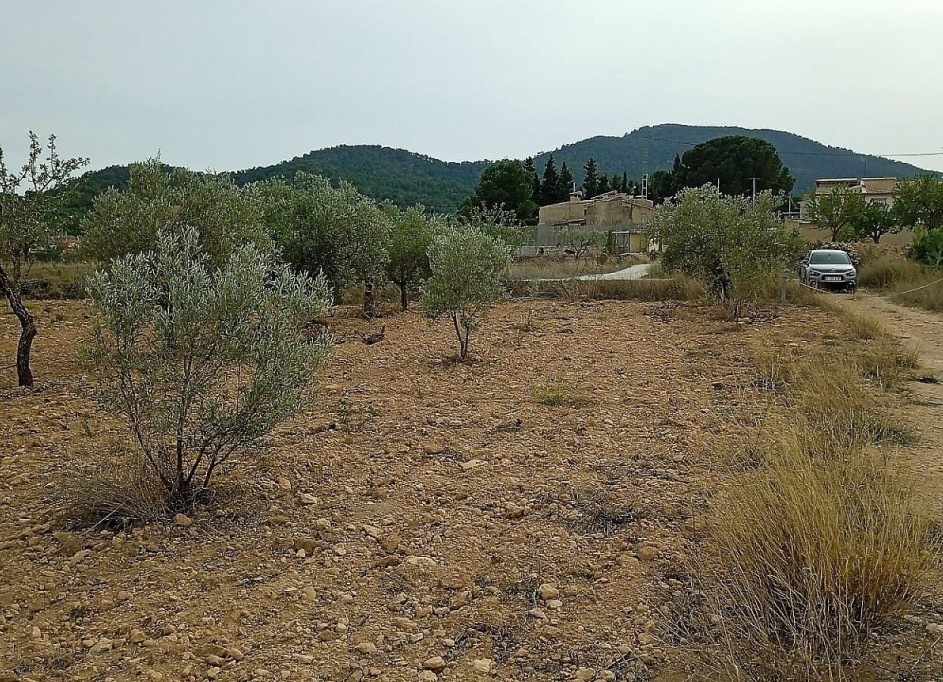 Venta - Parcela Terreno -
Monóvar