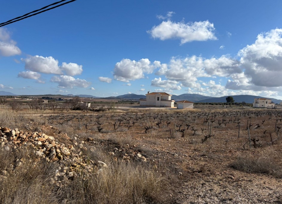 Venta - Parcela Terreno -
Pinoso - el Pinós / Pinoso