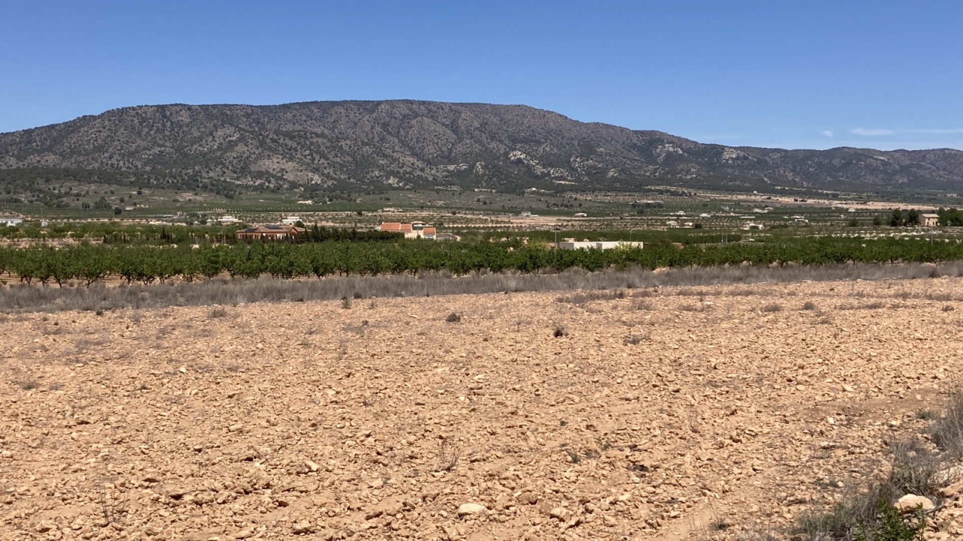 Venta - Parcela Terreno -
Pinoso - Lel