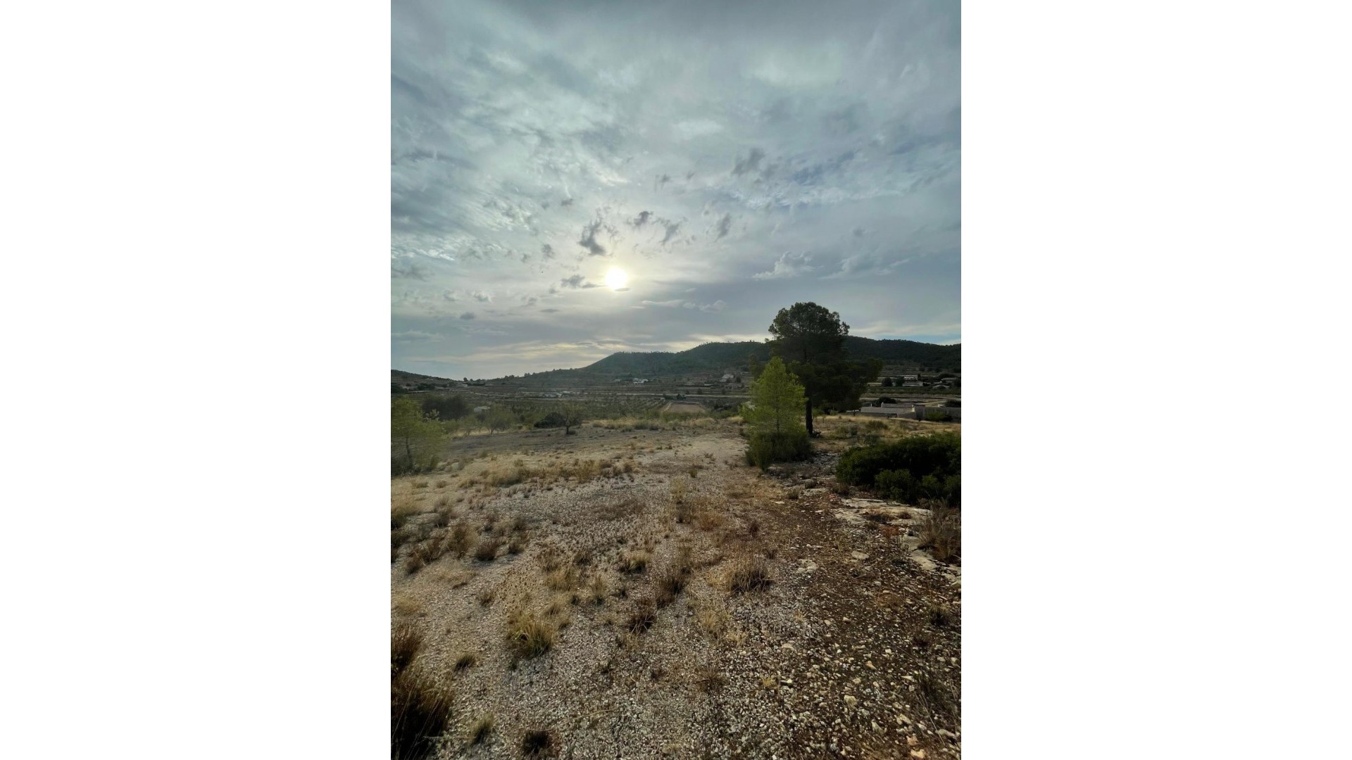 Venta - Parcela Terreno -
Pinoso - Pinoso Alicante