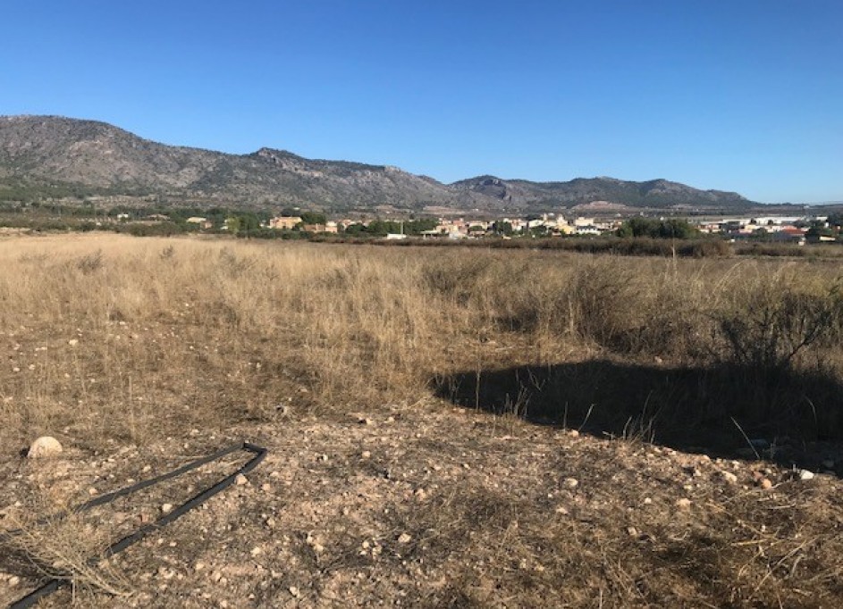 Venta - Parcela Terreno -
Salinas