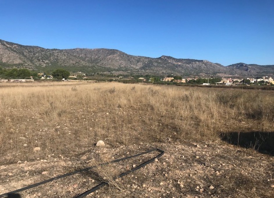 Venta - Parcela Terreno -
Salinas