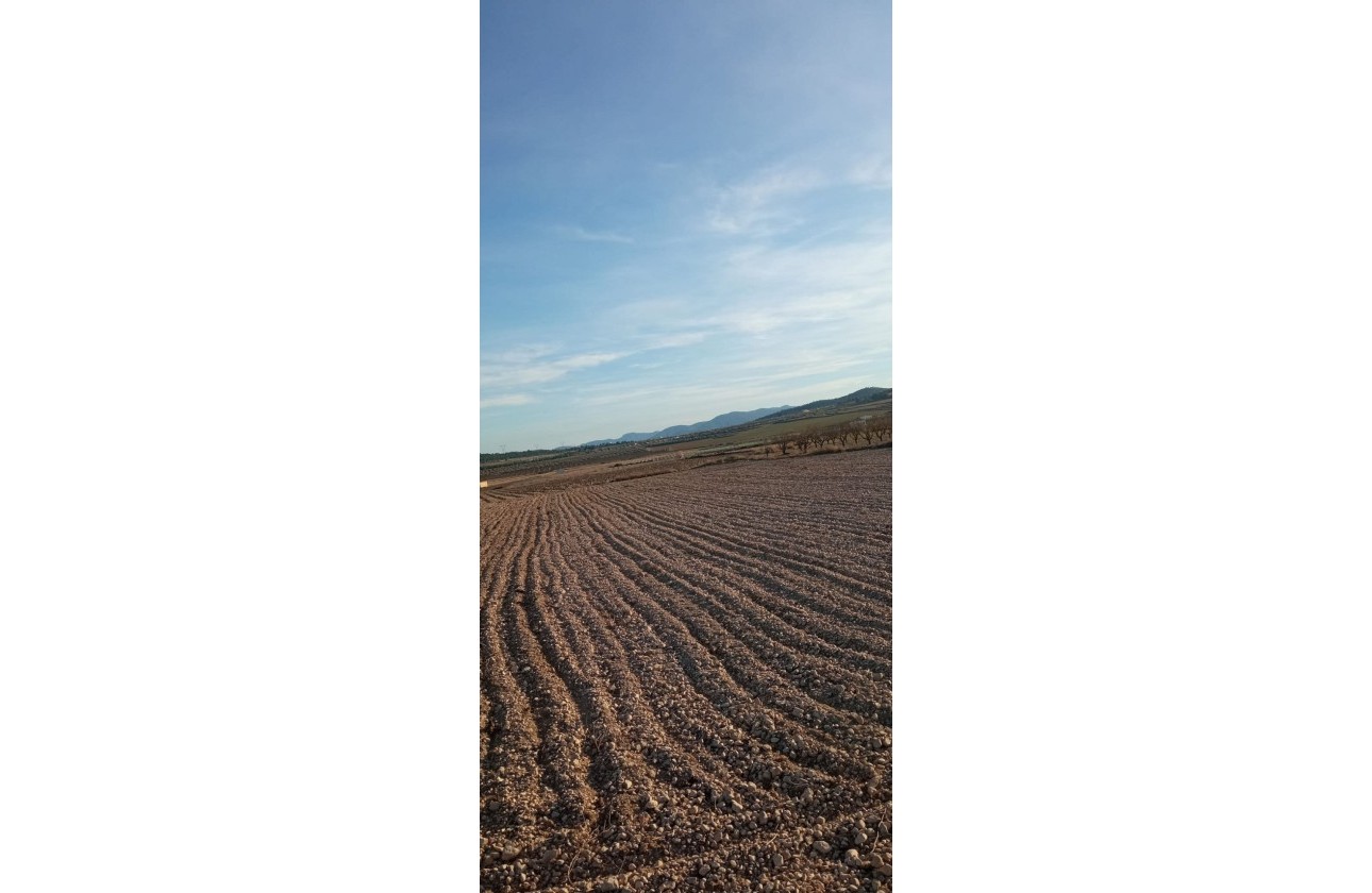 Venta - Parcela / Terreno -
Salinas