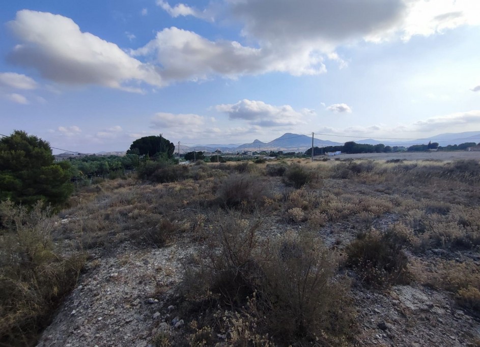 Venta - Parcela Terreno -
SAX