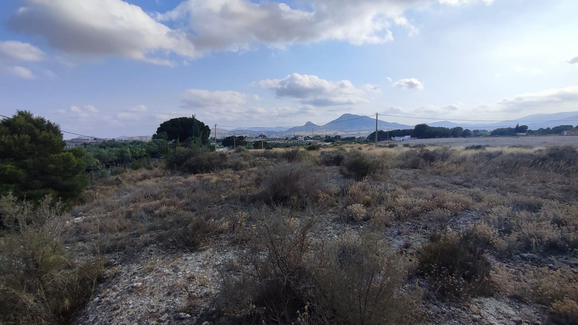 Venta - Parcela Terreno -
SAX