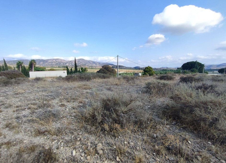 Venta - Parcela Terreno -
SAX