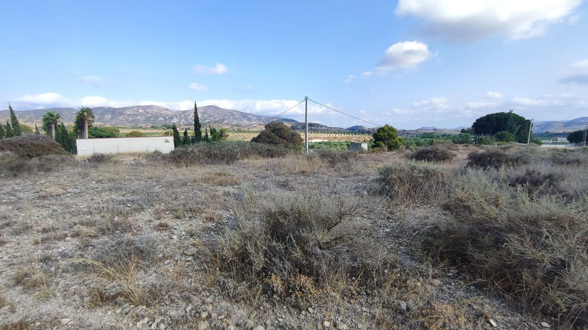 Venta - Parcela Terreno -
SAX