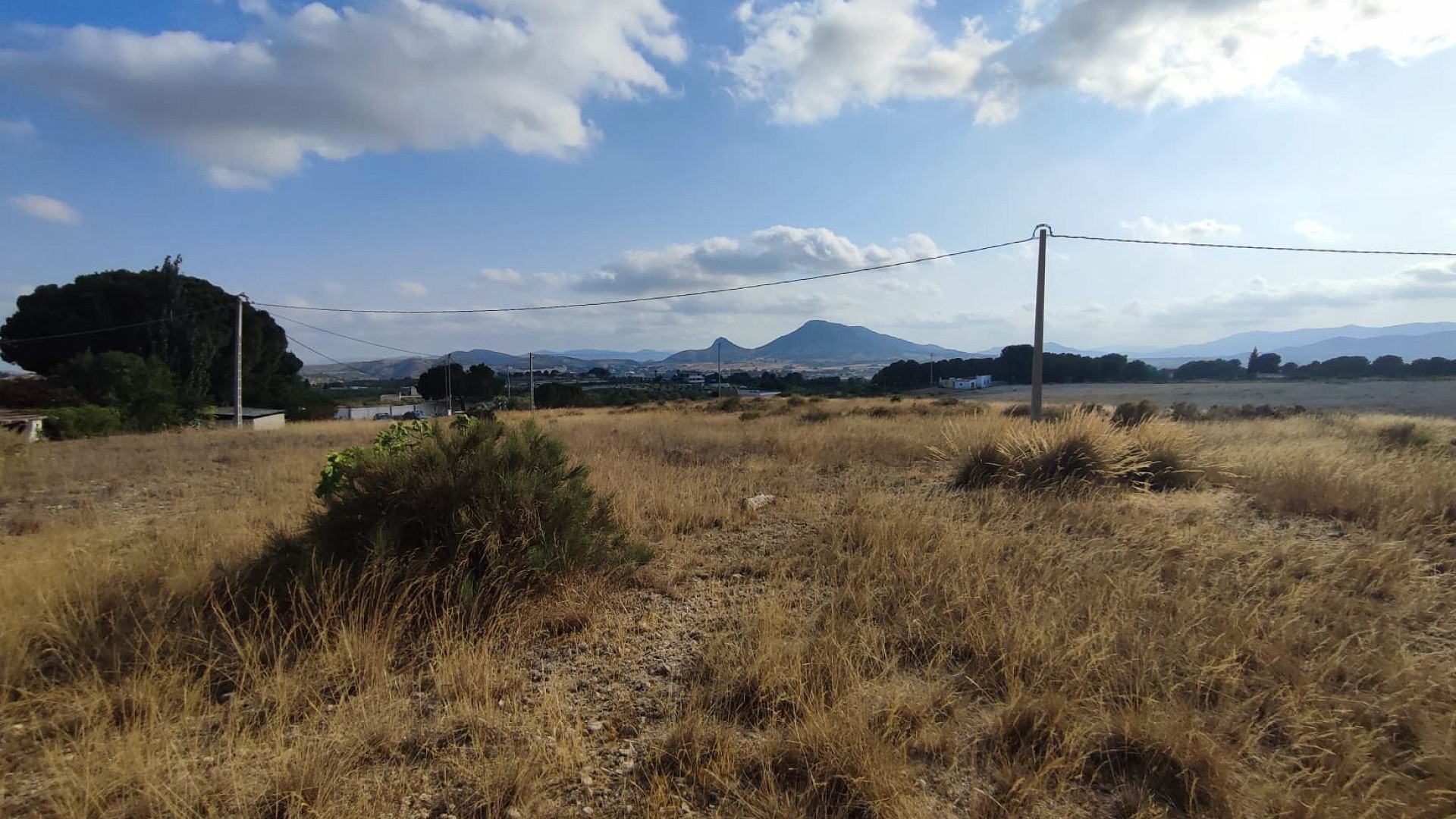 Venta - Parcela Terreno -
SAX