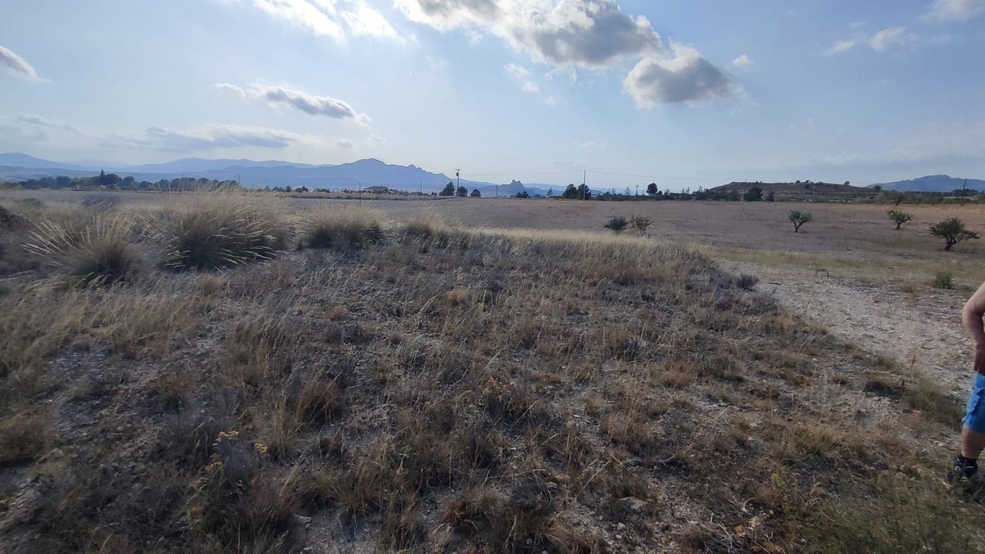 Venta - Parcela Terreno -
SAX