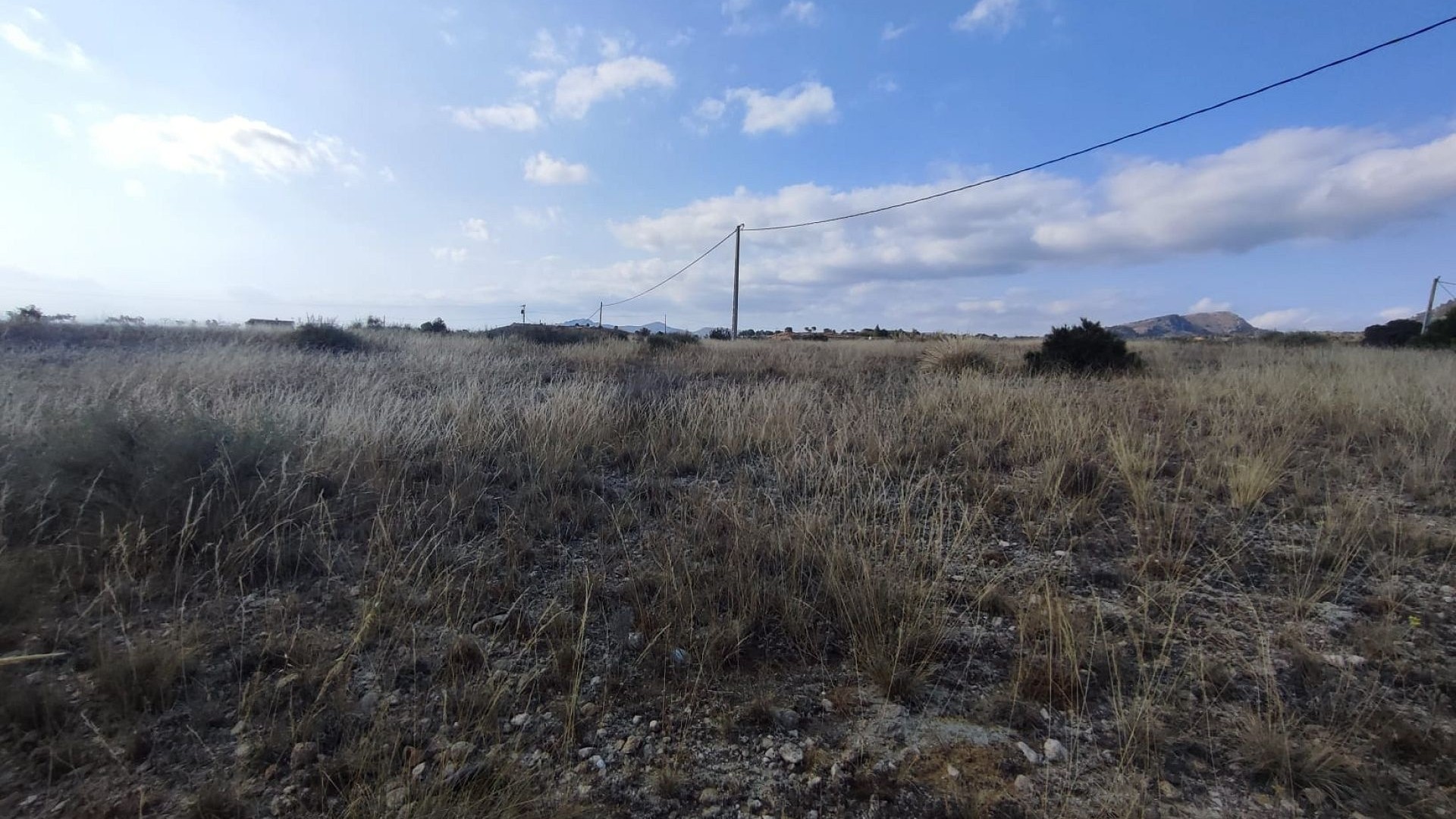 Venta - Parcela Terreno -
SAX