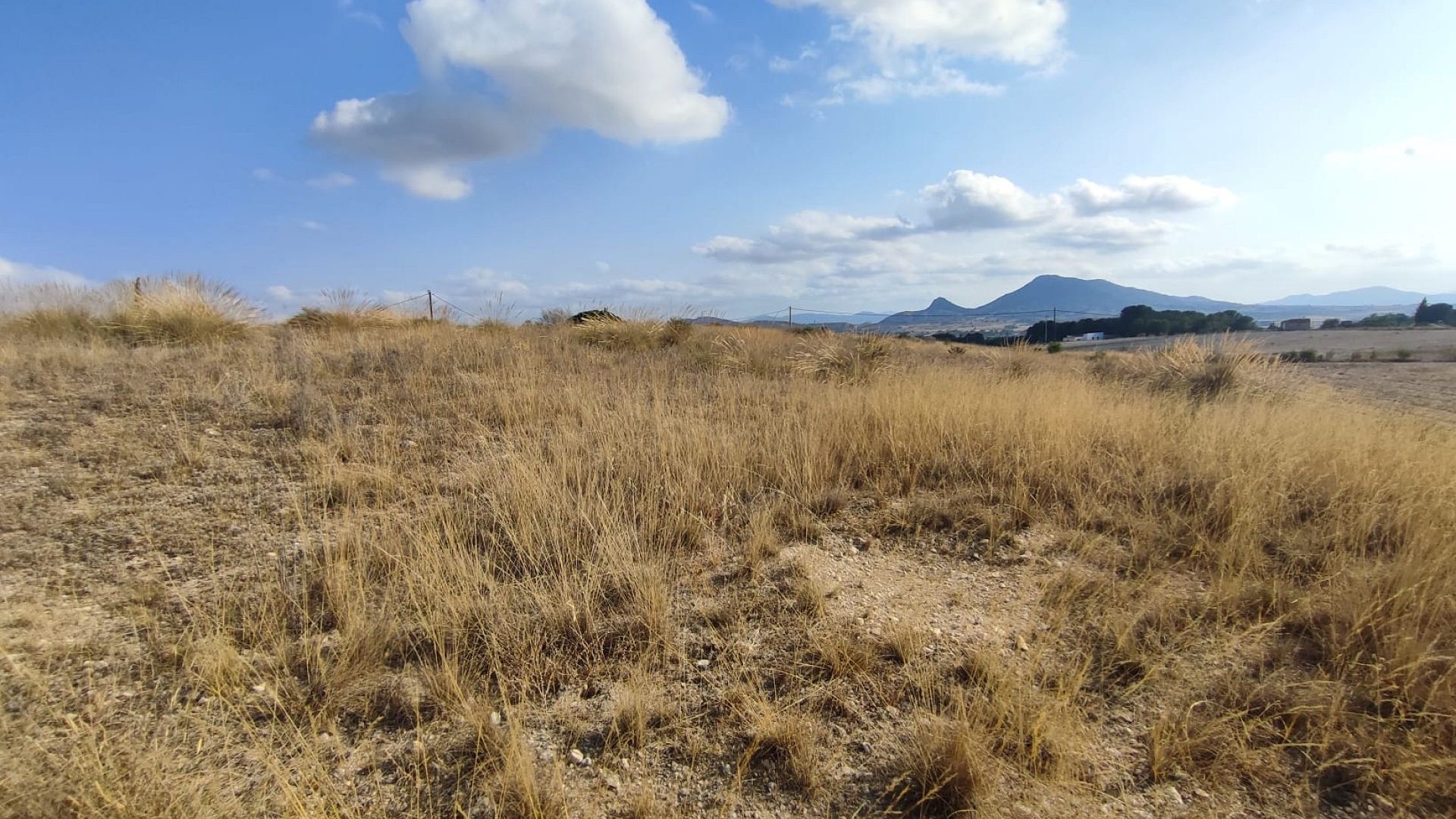 Venta - Parcela Terreno -
SAX