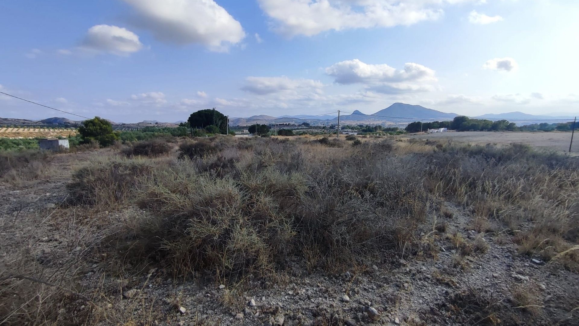 Venta - Parcela Terreno -
SAX