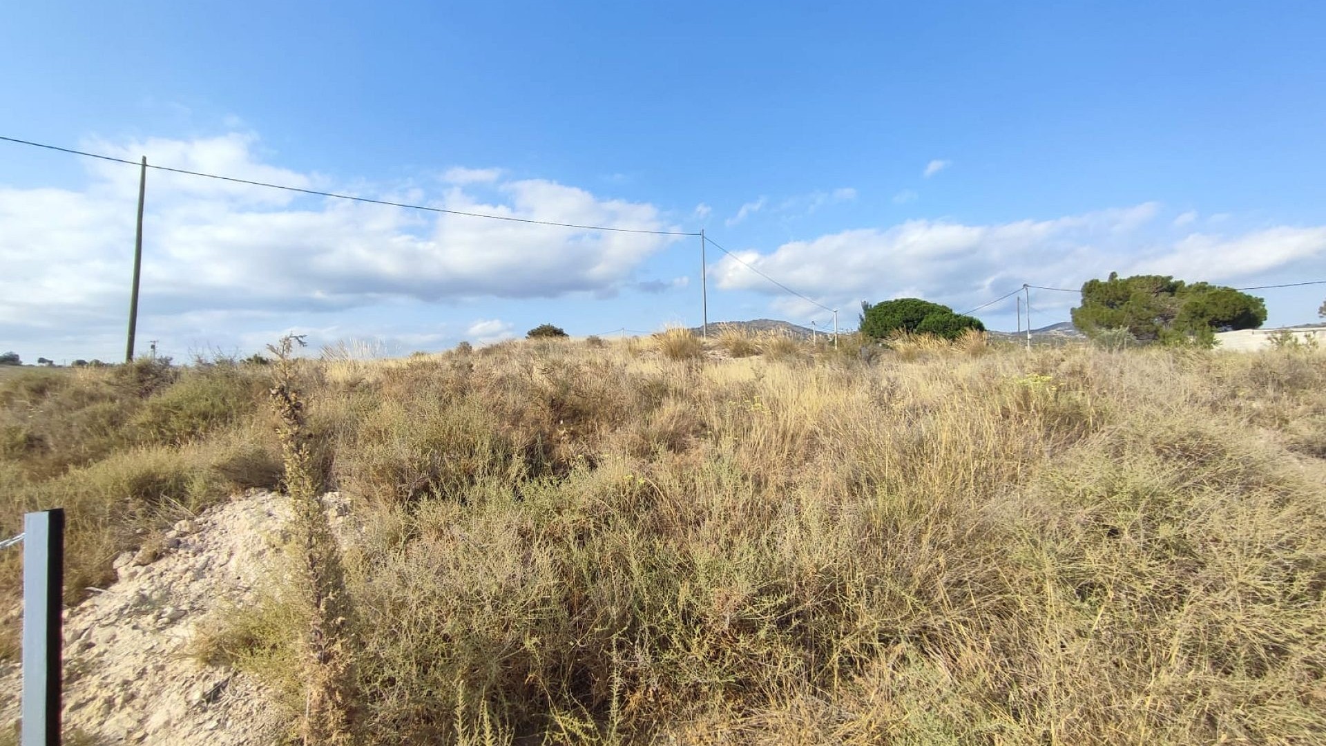 Venta - Parcela Terreno -
SAX