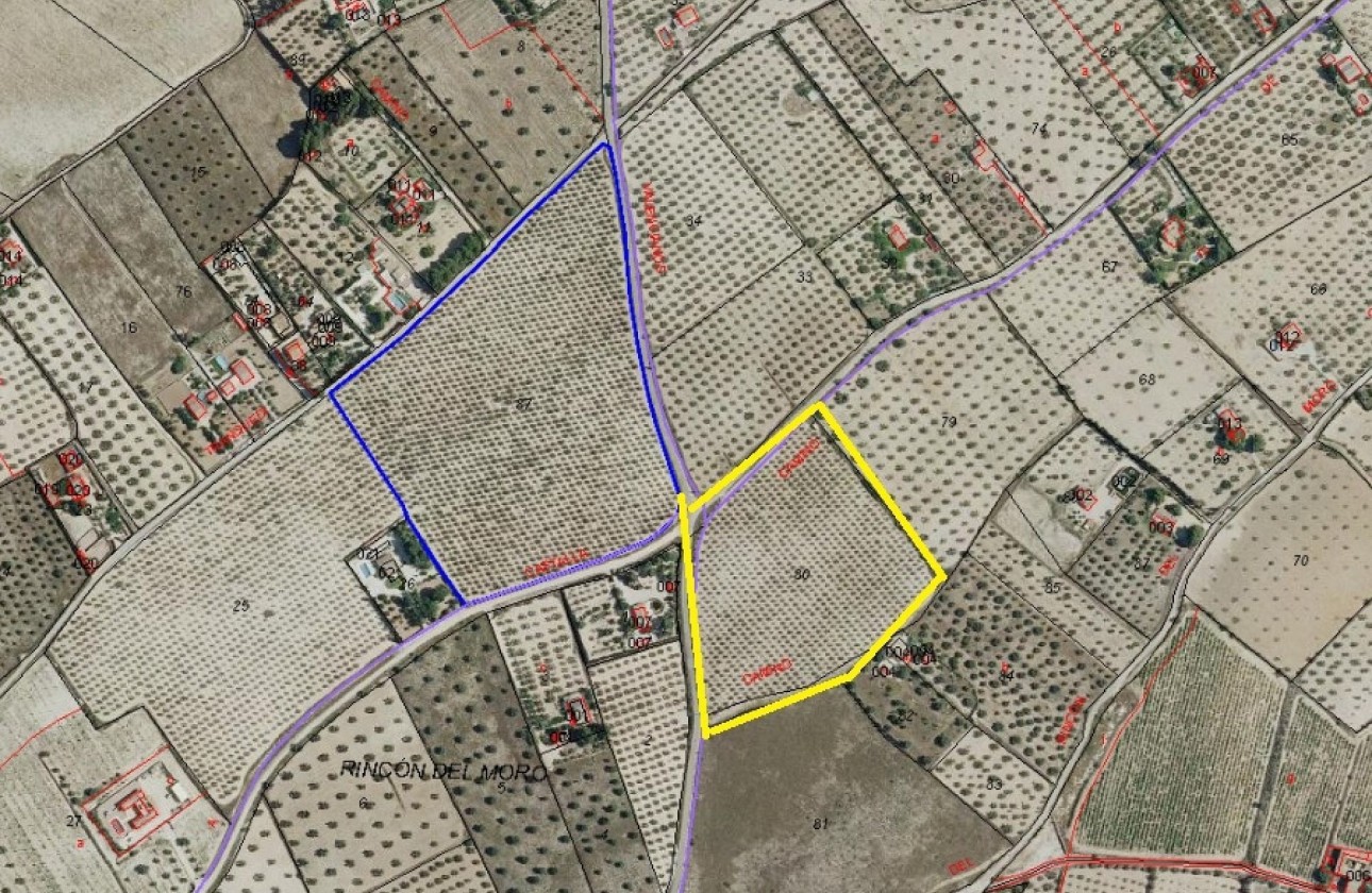 Venta - Parcela / Terreno -
SAX