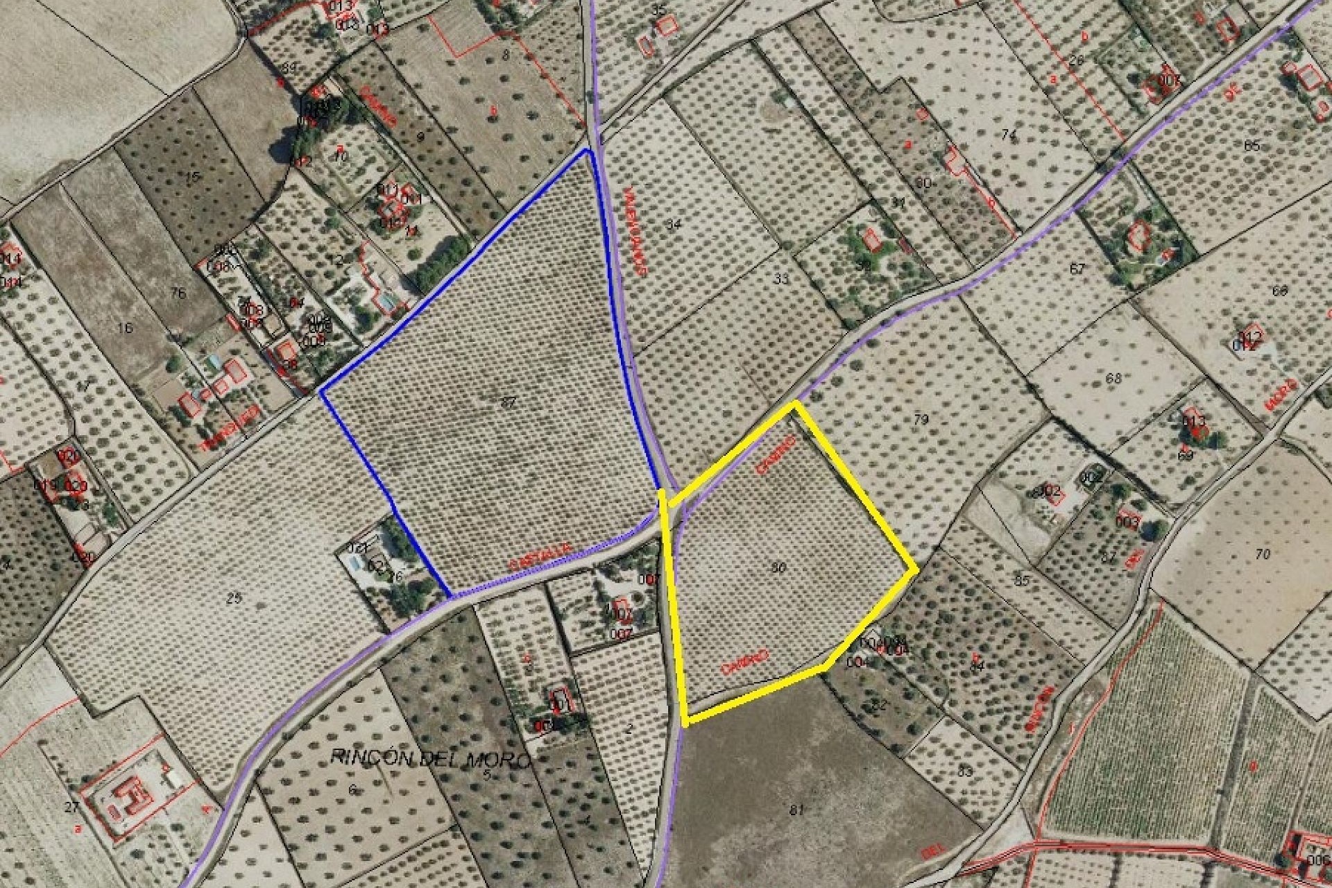 Venta - Parcela / Terreno -
SAX