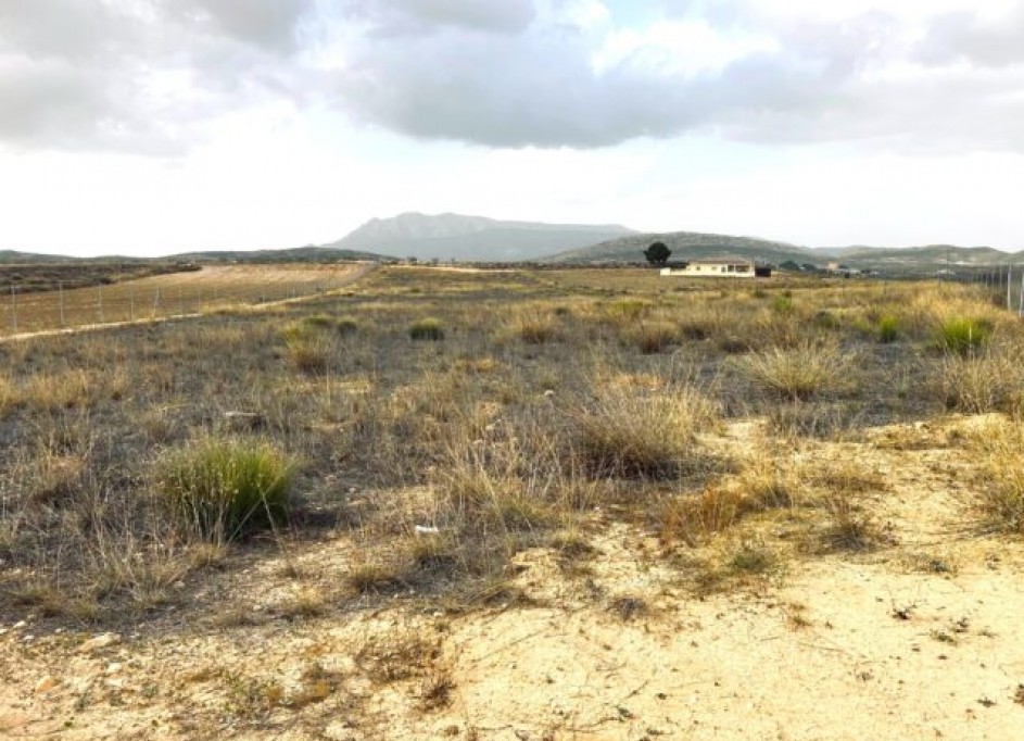 Venta - Parcela Terreno -
Torre del Rico