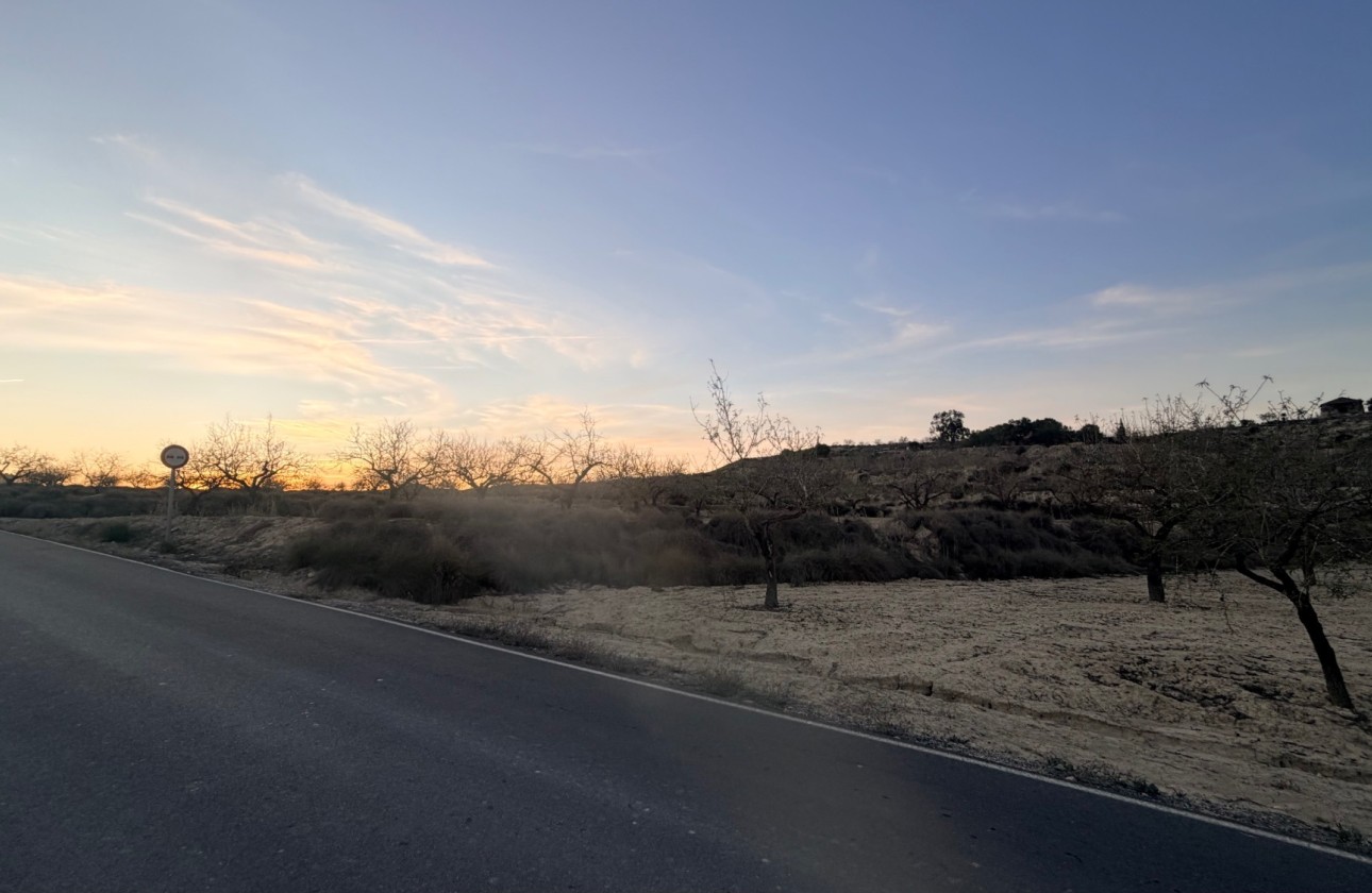 Venta - Parcela / Terreno -
Torremendo - Costa Blanca