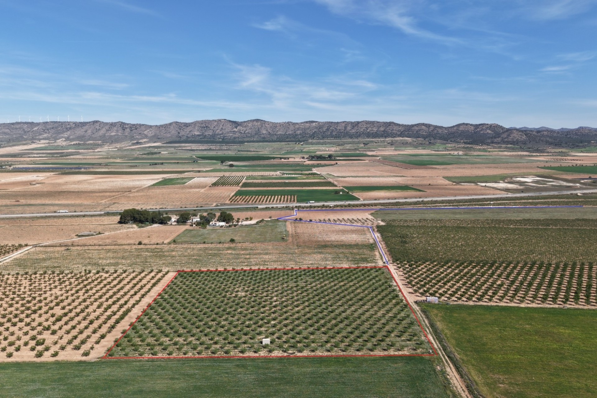 Venta - Parcela / Terreno -
Yecla - Yecla Murcia