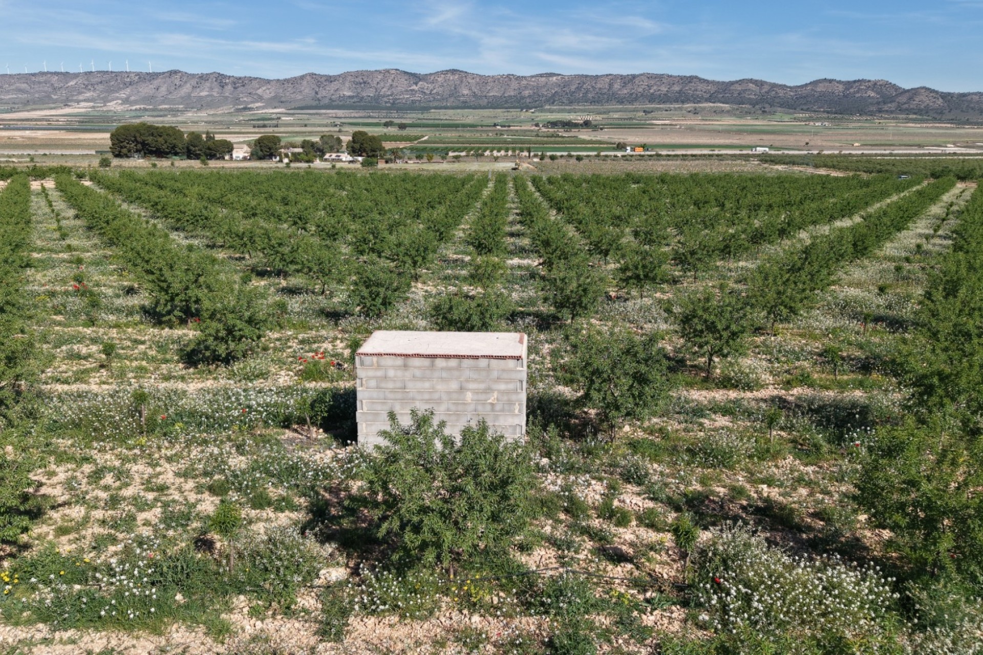 Venta - Parcela / Terreno -
Yecla - Yecla Murcia