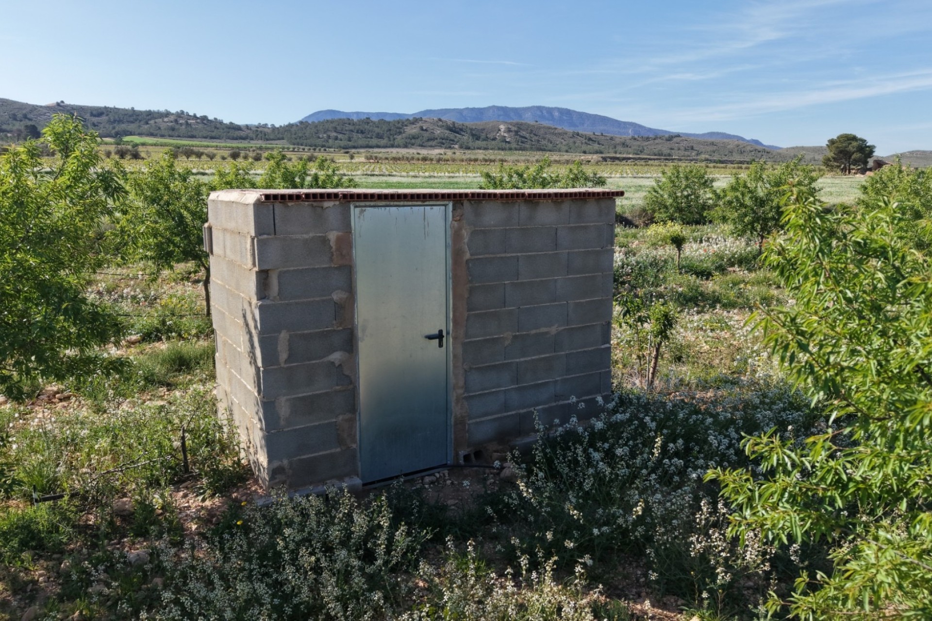 Venta - Parcela / Terreno -
Yecla - Yecla Murcia