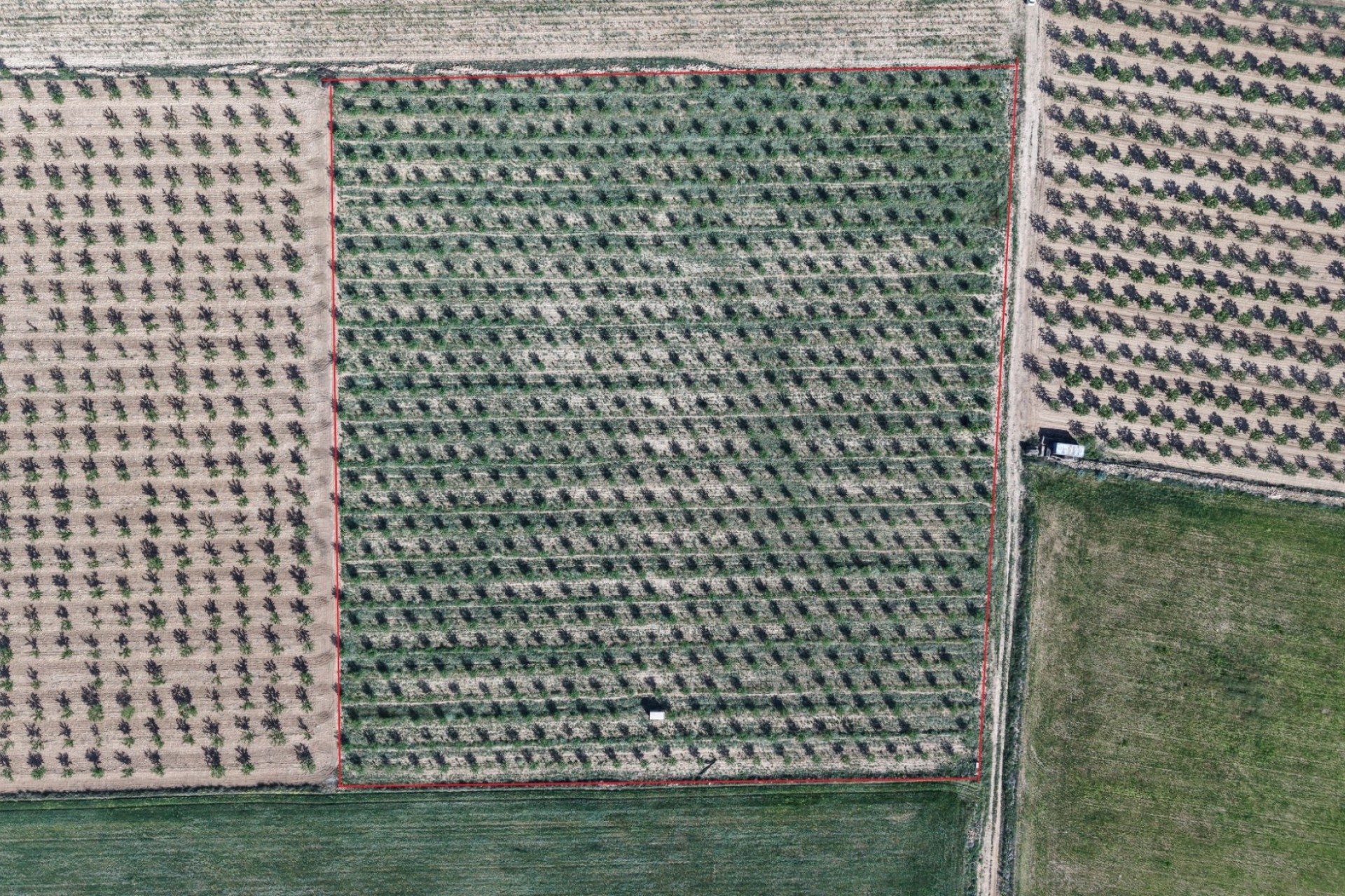 Venta - Parcela / Terreno -
Yecla - Yecla Murcia