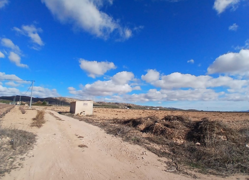 Venta - Parcela Terreno -
Yecla