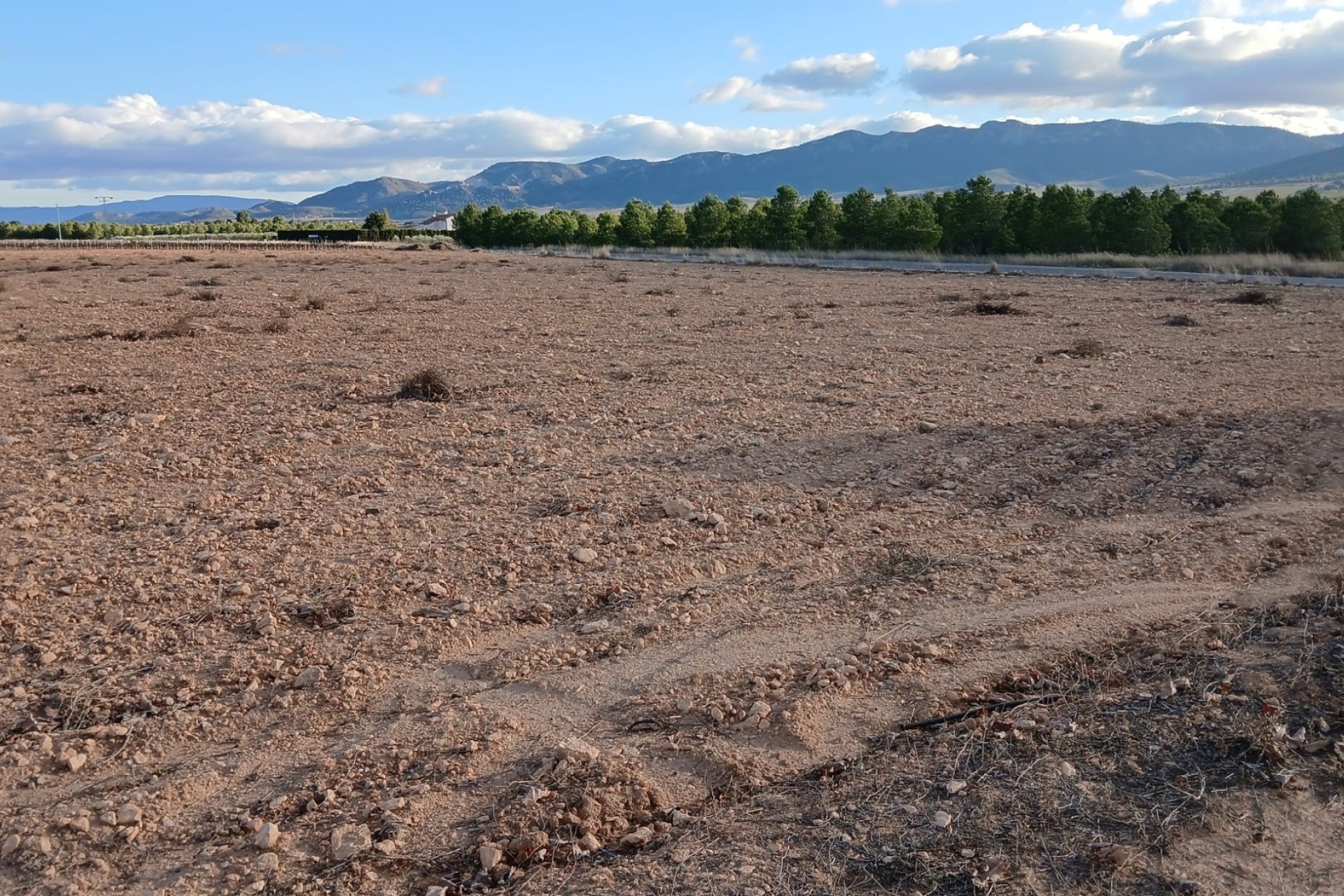 Venta - Parcela Terreno -
Yecla