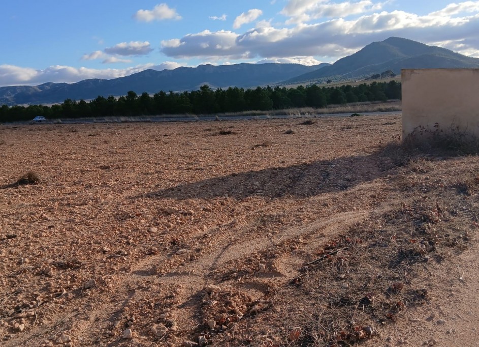 Venta - Parcela Terreno -
Yecla