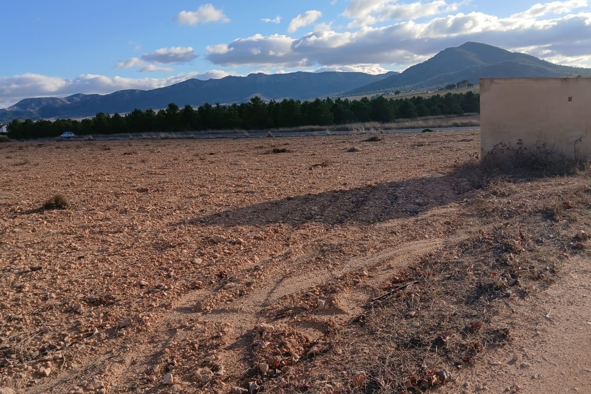 Venta - Parcela Terreno -
Yecla