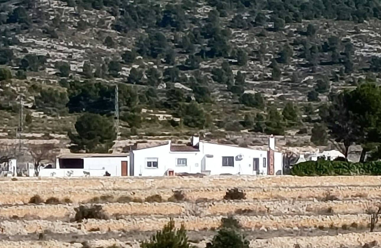 Venta - Propiedad ecuestre -
Monóvar