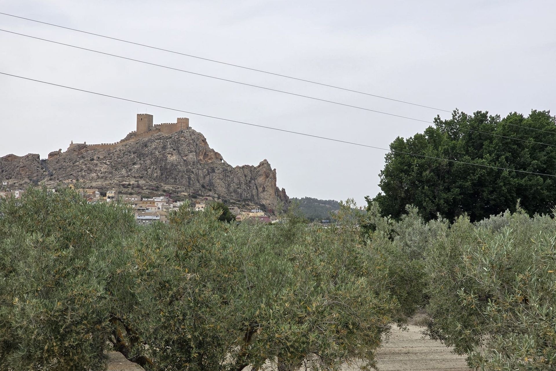 Venta - Proyecto de inversión -
SAX