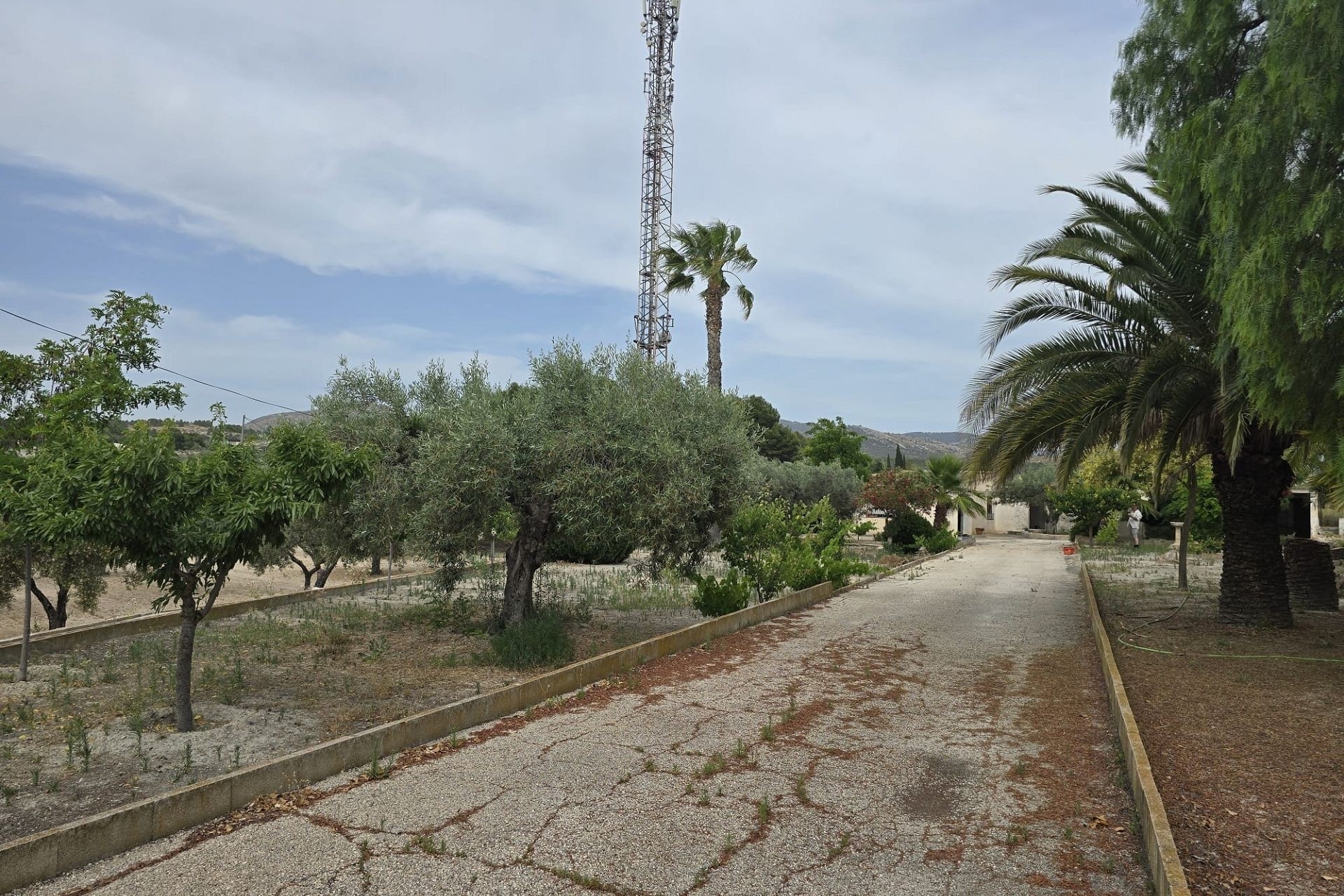 Venta - Proyecto de inversión -
SAX