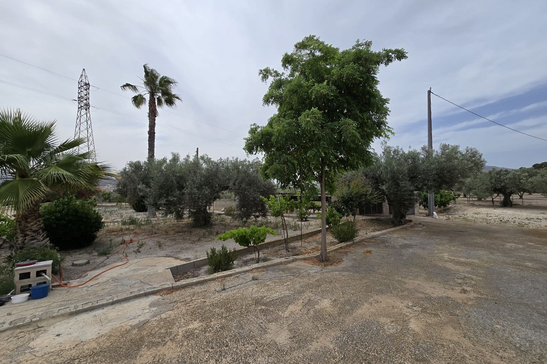 Venta - Proyecto de inversión -
SAX