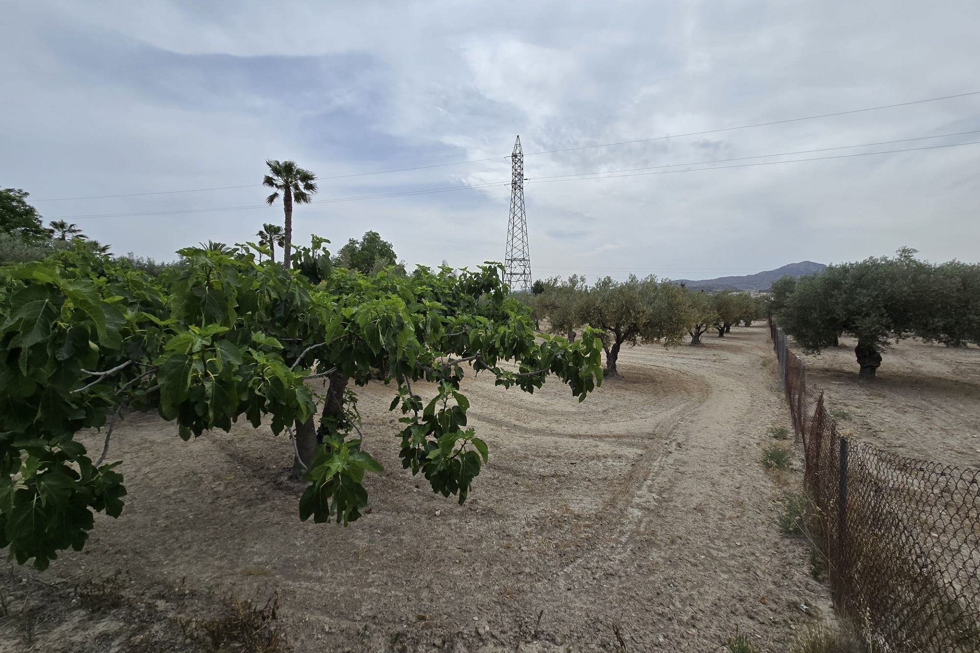 Venta - Proyecto de inversión -
SAX