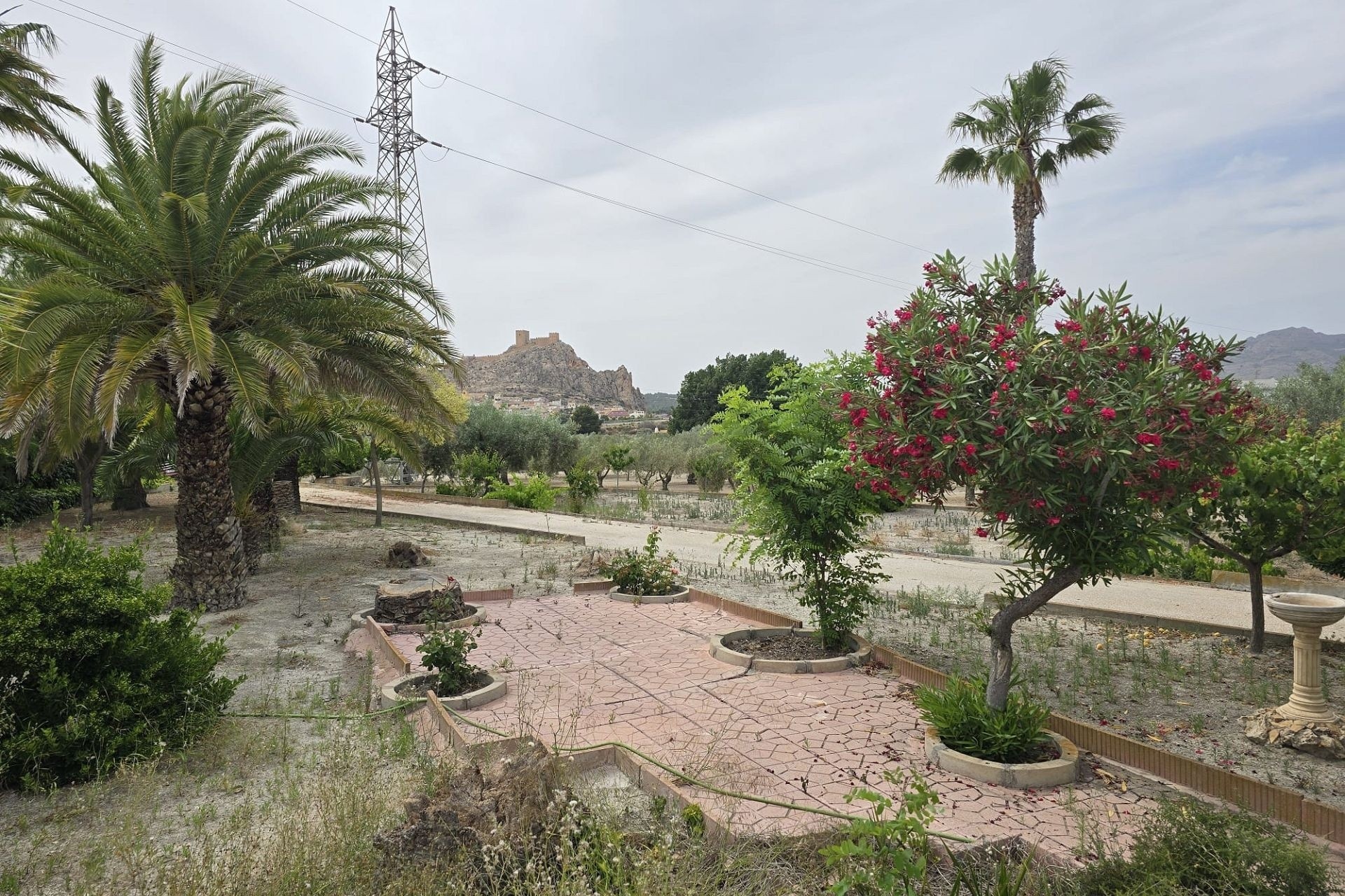 Venta - Proyecto de inversión -
SAX