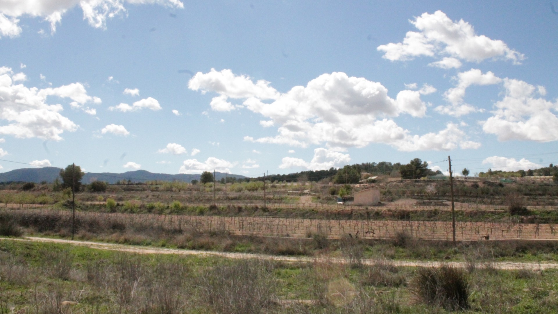 Venta - Proyecto de restauración -
Úbeda - Úbeda Alicante