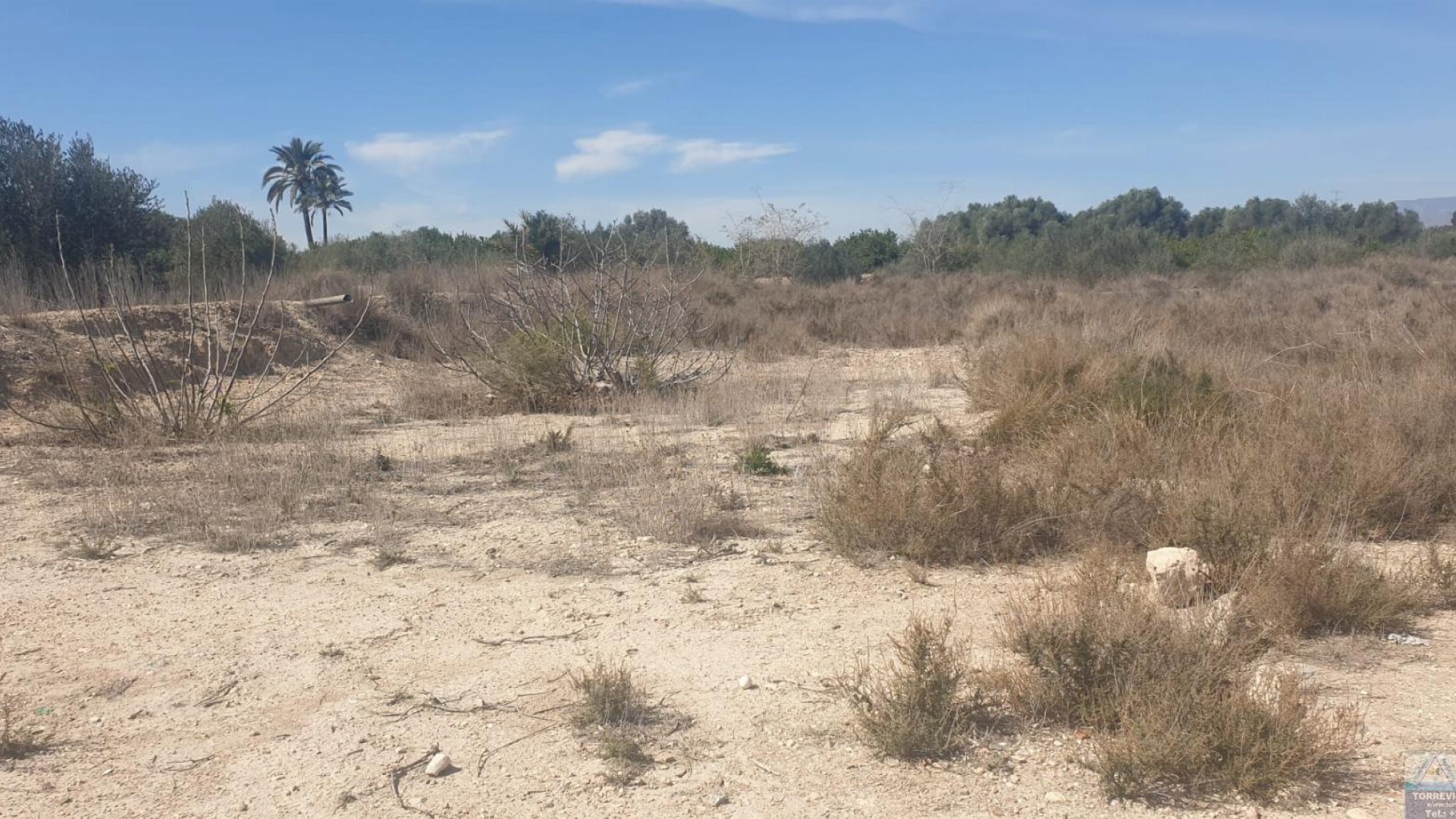 Venta - Terreno -
Benferri - HUERTA PUEBLO