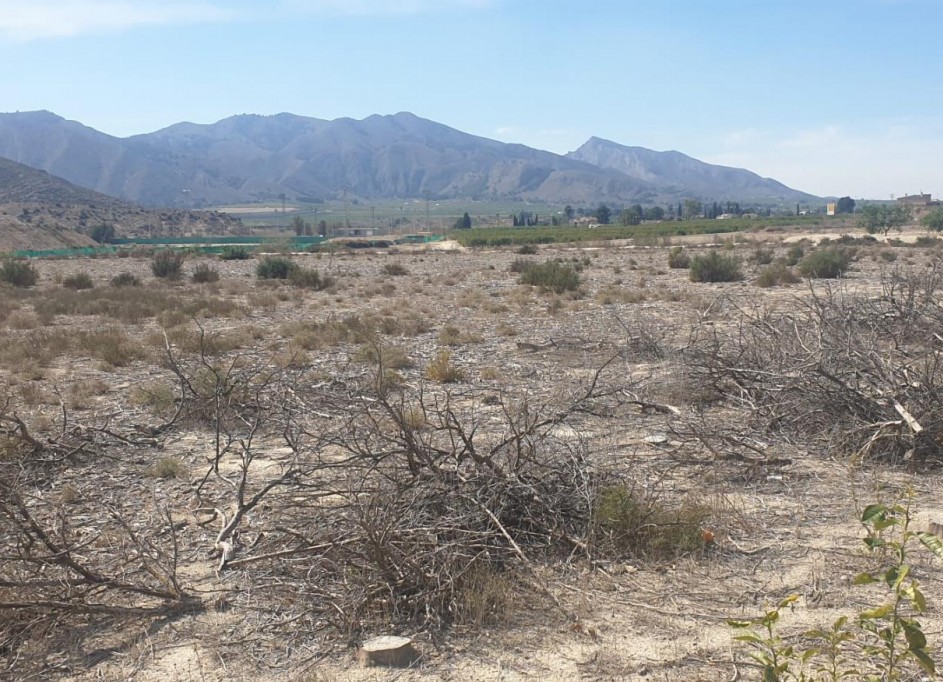 Venta - Terreno -
Benferri - HUERTA PUEBLO