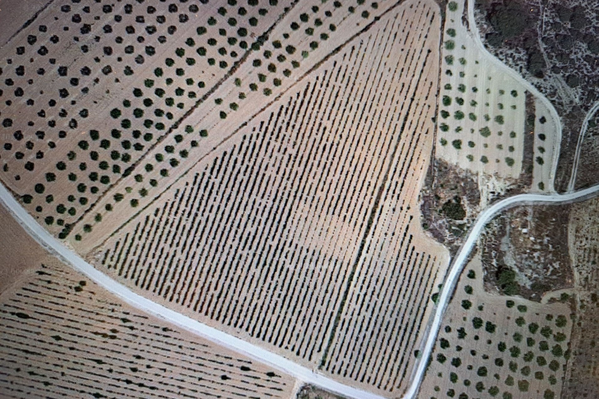 Venta - Terreno -
Pinoso