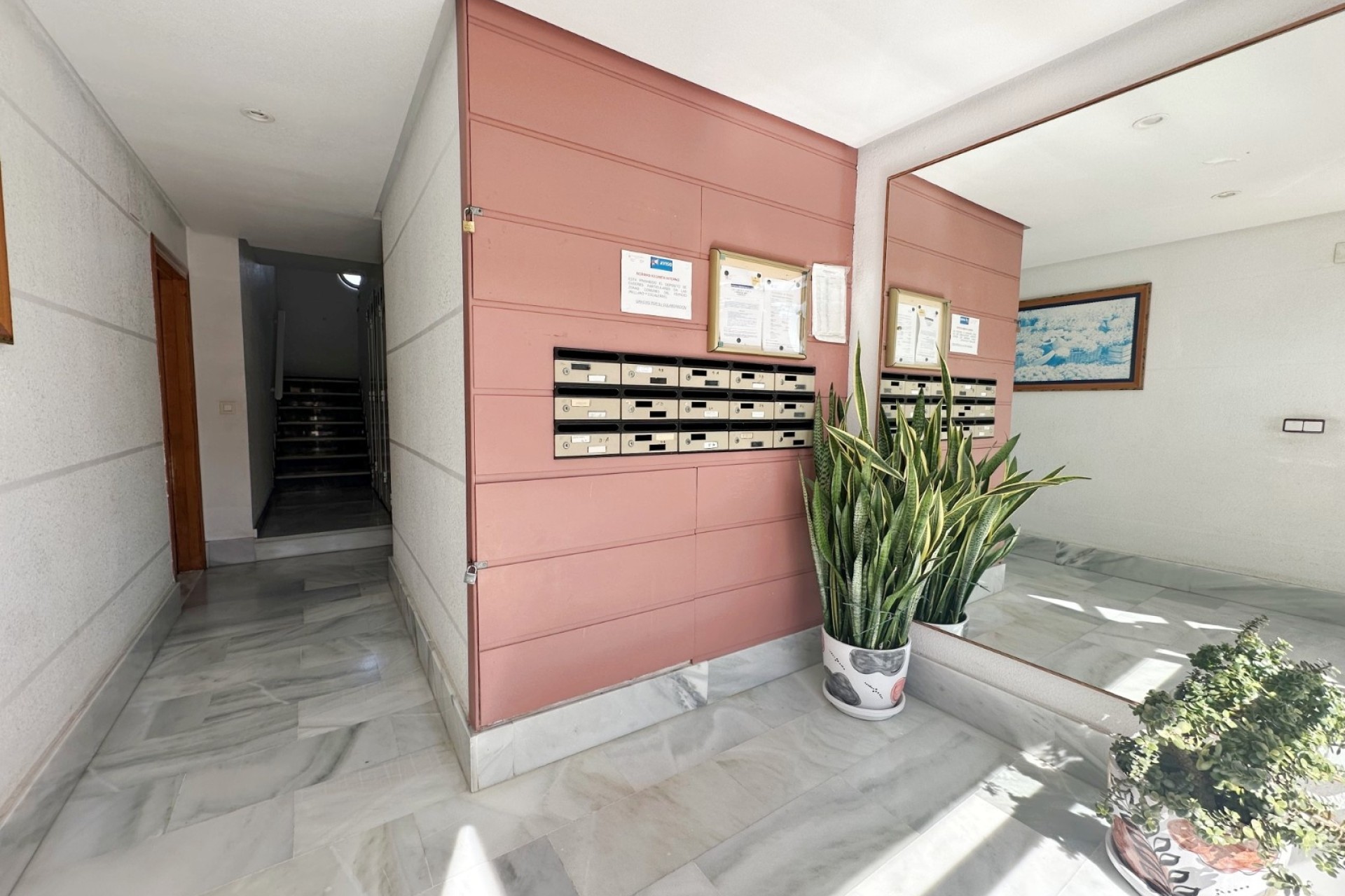 Venta -  -
Torrevieja