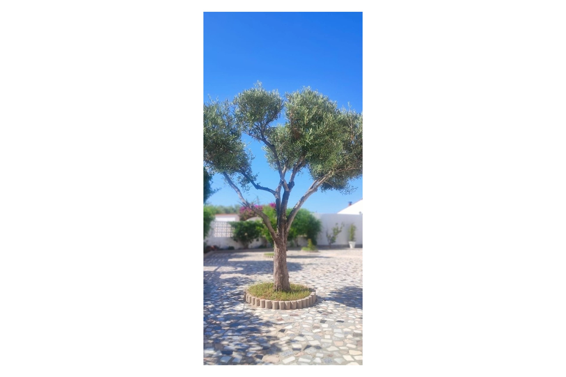 Venta - Villa -
Ciudad Quesada - Rojales - Ciudad Quesada