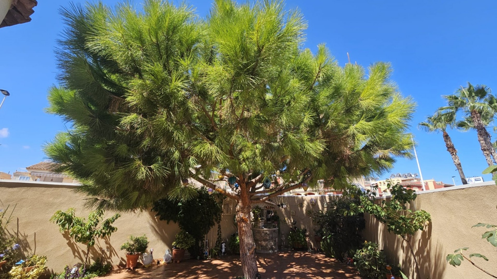 Venta - Villa -
Torrevieja - Torre la mata