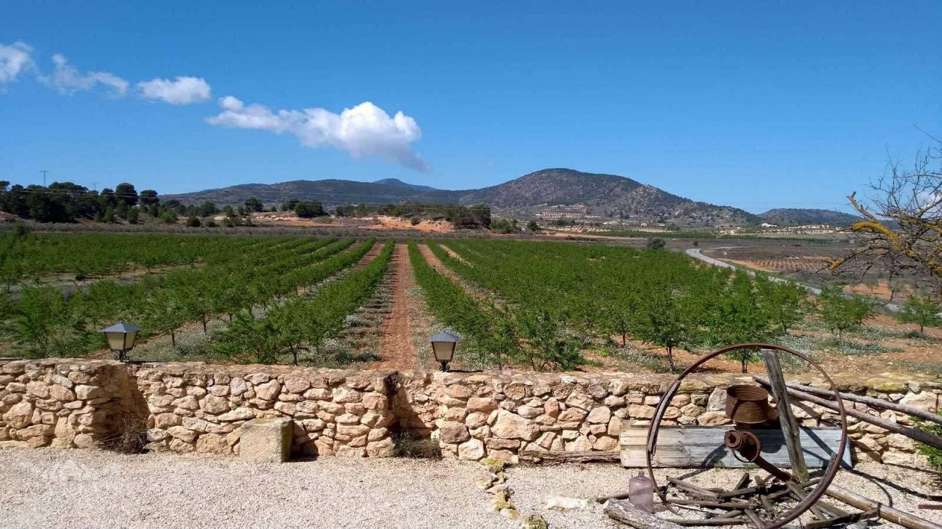 Venta - Villa -
Yecla - Yecla Murcia