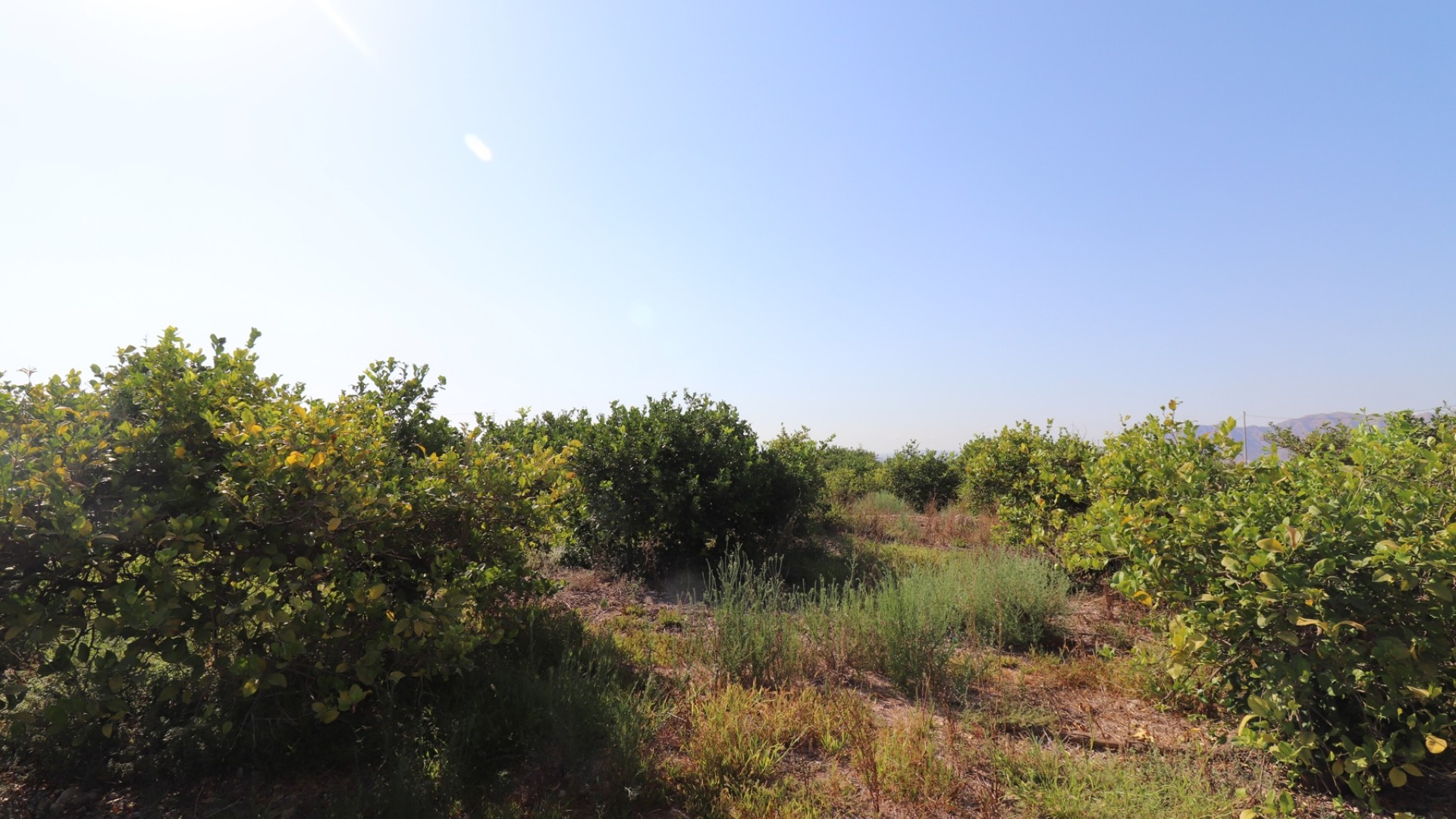 Videresalg - Finca landejendom -
Albatera