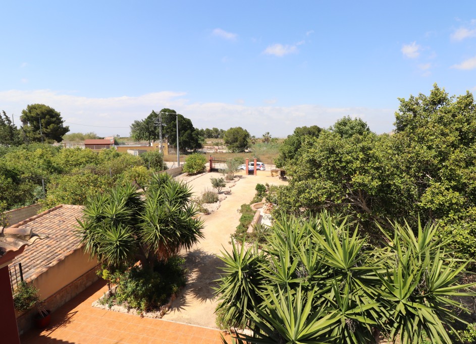 Videresalg - Finca landejendom -
Algorfa