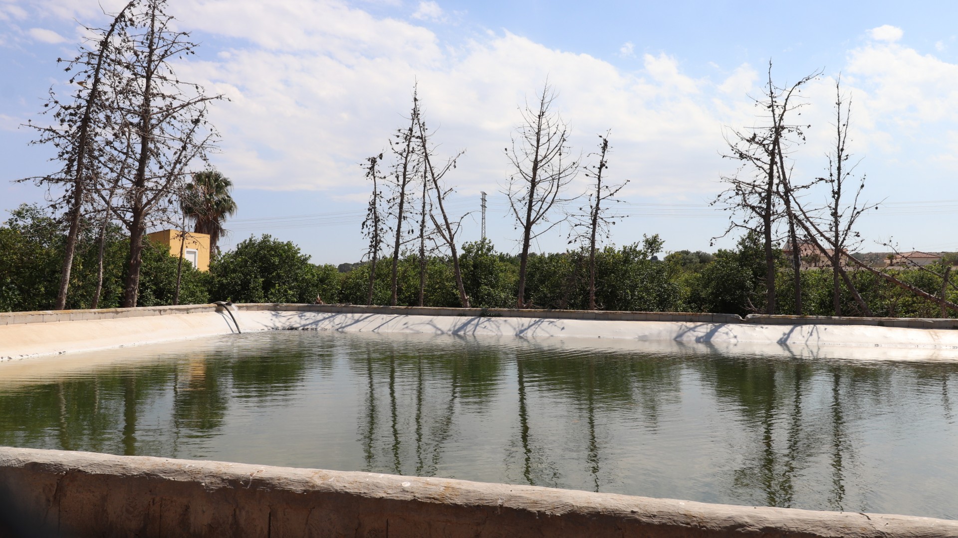 Videresalg - Finca landejendom -
Algorfa