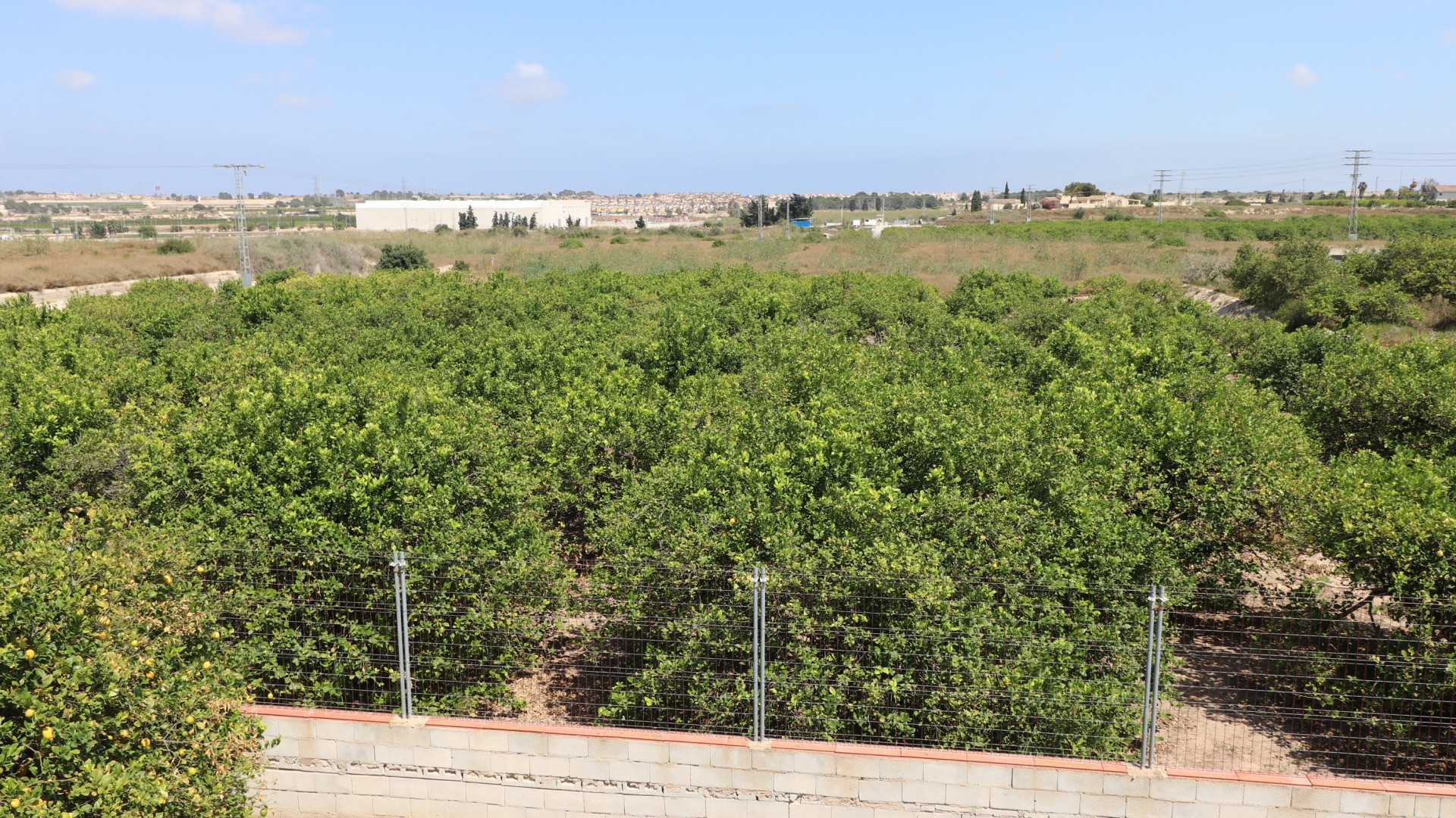 Videresalg - Finca landejendom -
Algorfa